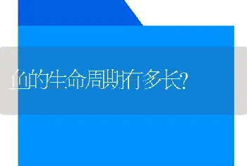 鱼的生命周期有多长？