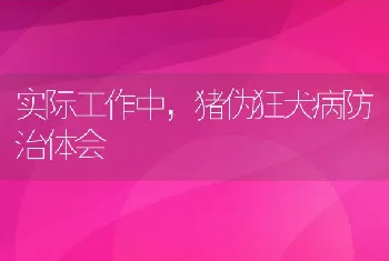 实际工作中，猪伪狂犬病防治体会