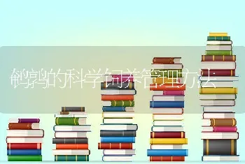 鹌鹑的科学饲养管理方法