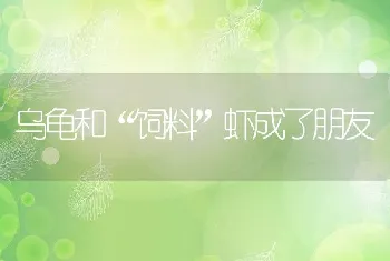 鳗鱼养殖的水质调节方法