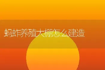 蚂蚱养殖大棚怎么建造