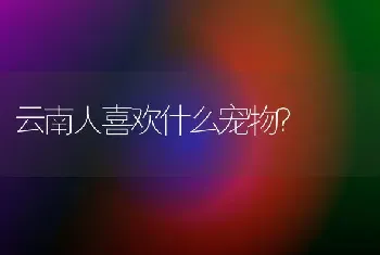 云南人喜欢什么宠物？