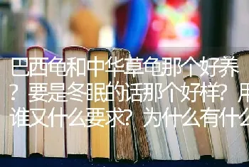 巴西龟和中华草龟那个好养?要是冬眠的话那个好样?用谁又什么要求?为什么有什么区别？