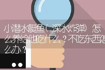 小潜水艇鱼(深水炸弹)怎么养给他吃什么？不吃东西怎么办？