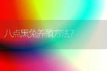 八点黑兔养殖方法？