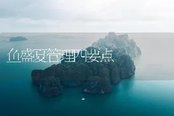 鱼盛夏管理四要点