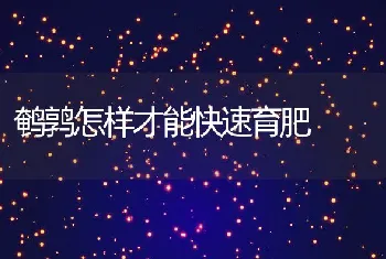 鹌鹑怎样才能快速育肥