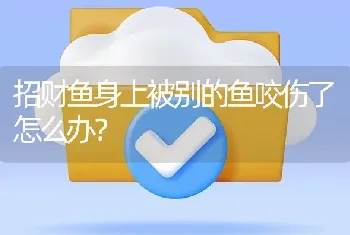 招财鱼身上被别的鱼咬伤了怎么办？