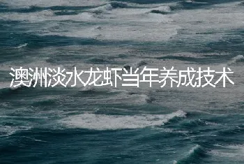 澳洲淡水龙虾当年养成技术