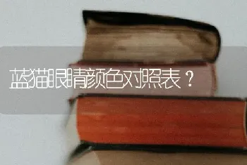 蓝猫眼睛颜色对照表？