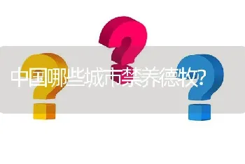 中国哪些城市禁养德牧？