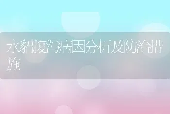 羔羊出生后两个关键期怎么管理？如何才能提高存活率？