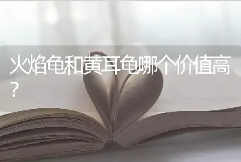 火焰龟和黄耳龟哪个价值高？