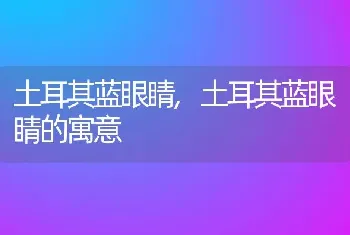 土耳其蓝眼睛，土耳其蓝眼睛的寓意