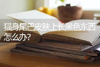 猫身尾巴皮肤上长黑色东西怎么办？