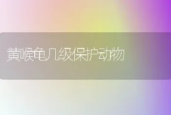 黄喉龟几级保护动物