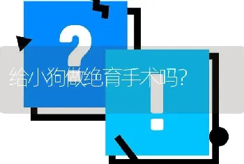 二哈是哈士奇还是阿拉斯加？