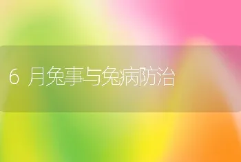 鸽病防治技术简介