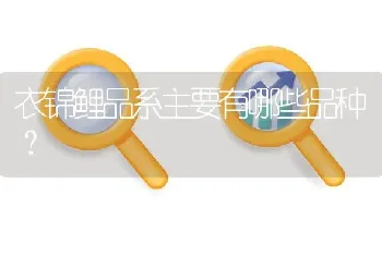 衣锦鲤品系主要有哪些品种？