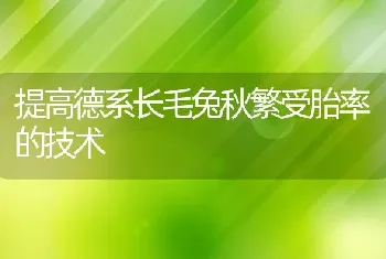 提高德系长毛兔秋繁受胎率的技术