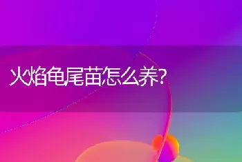 绿毛龟是国家几级保护动物？