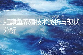 虹鳟鱼养殖技术浅析与现状分析