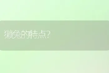 侏儒海棠兔的生活习性？