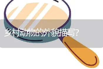 乡村动物的外貌描写？