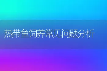 热带鱼饲养常见问题分析