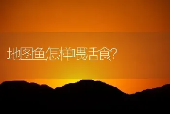 斑马鱼生活在什么水层？