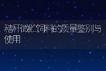 秸秆微贮饲料的质量鉴别与使用