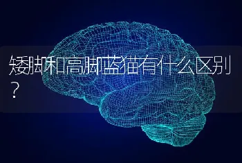 我家买了个比熊2个月，剃毛后，毛长出来是黄的？