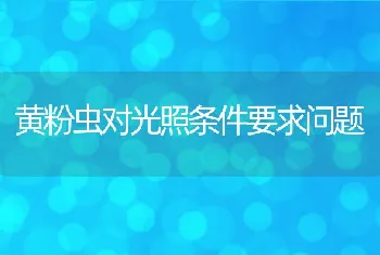 黄粉虫对光照条件要求问题