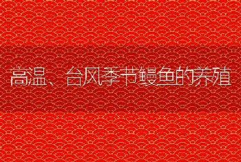 高温、台风季节鳗鱼的养殖