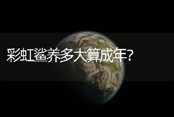 彩虹鲨养多大算成年？