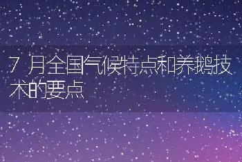 稻田养虾入冬注意事项