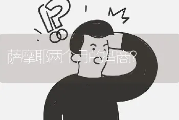 萨摩耶两个月的智商？