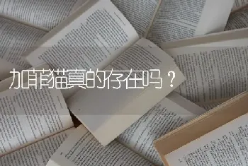 加菲猫真的存在吗？