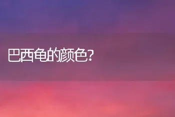 巴西龟的颜色？