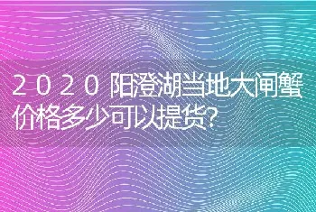 2020阳澄湖当地大闸蟹价格多少可以提货？