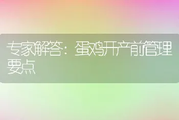 专家解答：蛋鸡开产前管理要点