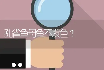 孔雀鱼母鱼不发色？