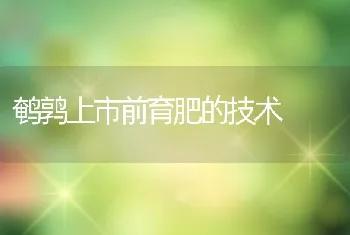 鹌鹑上市前育肥的技术