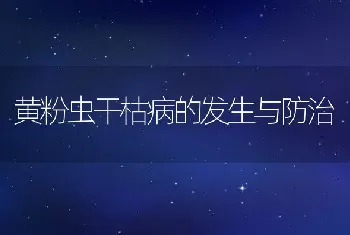 黄粉虫干枯病的发生与防治