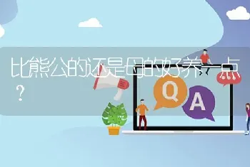 比熊公的还是母的好养一点？