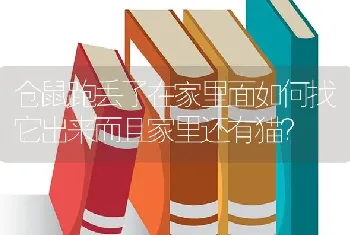 仓鼠跑丢了在家里面如何找它出来而且家里还有猫？