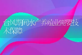 台风期间水产养殖业需要技术保障