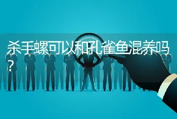 杀手螺可以和孔雀鱼混养吗？