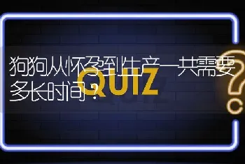 狗狗从怀孕到生产一共需要多长时间？