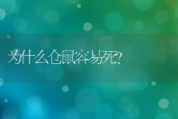 为什么仓鼠容易死？